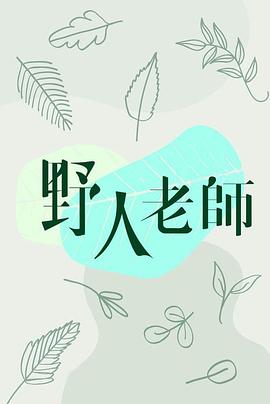 野人老师粤语版(全集)